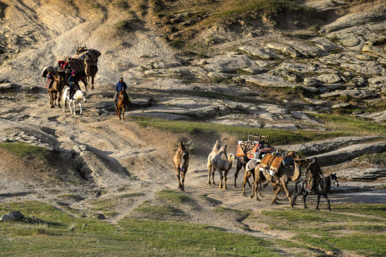 Nomadic Life - 10 Journey of Migration